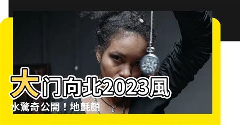 2023地氈顏色